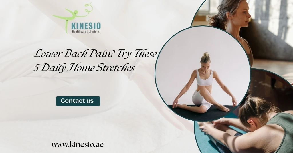 Gentle stretches for back pain improve flexibility, ease muscle tension, reduce stiffness, and support better posture and spinal mobility daily.